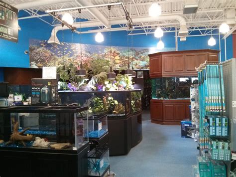 petland fish|Petland Bolingbrook, IL Pet Store .